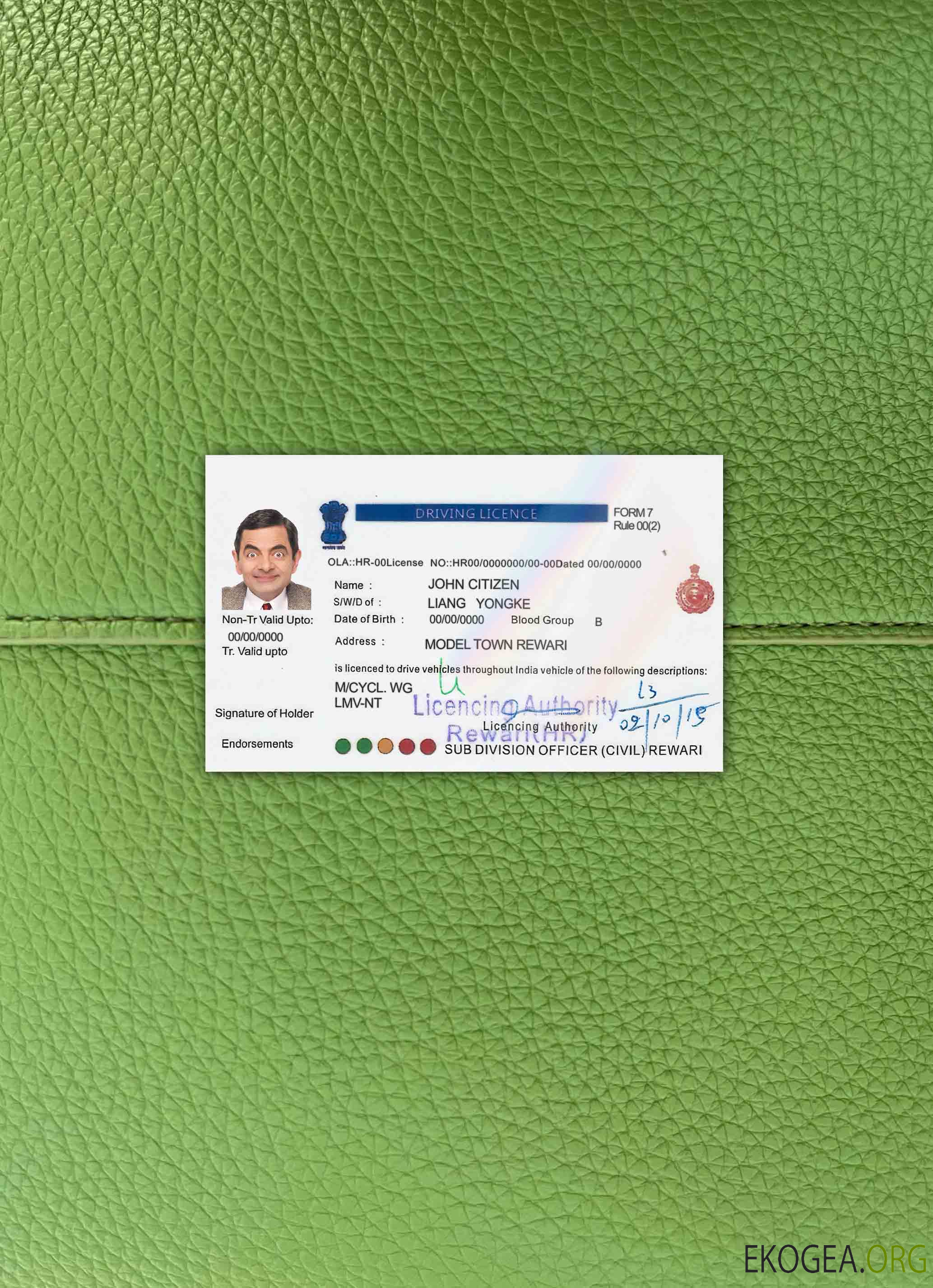 Permis de conduire indien version 5 photolook AVANT